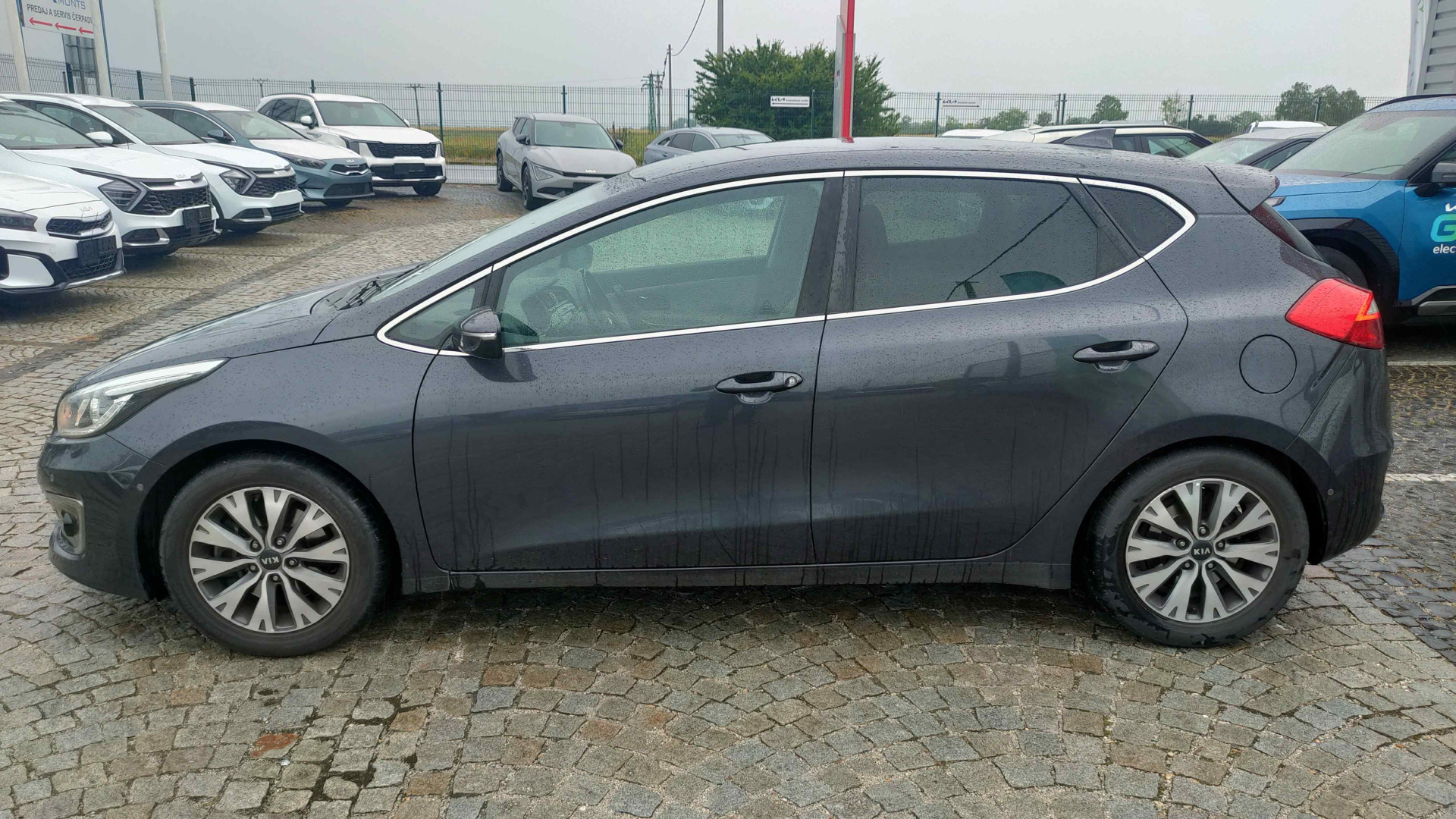 Kia Ceed 1,6 GDI Platinum